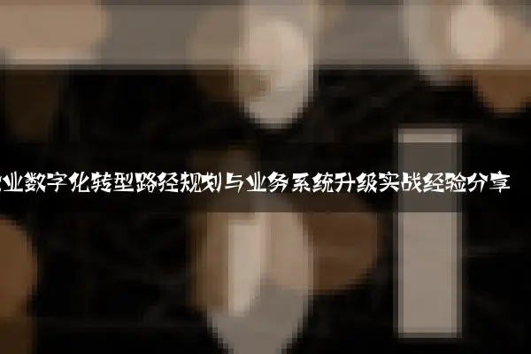 企业数字化转型路径规划与业务系统升级实战经验分享